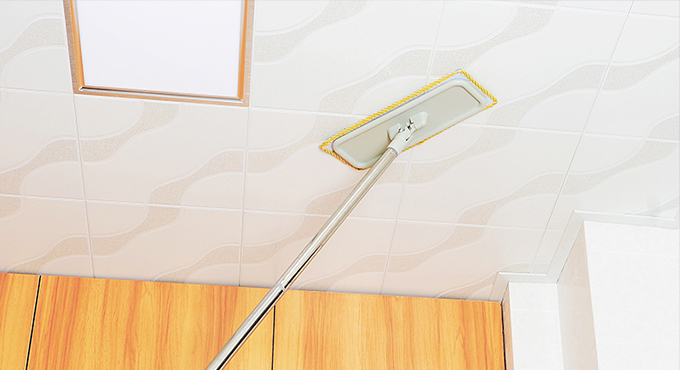 Wall Cleaning Mop